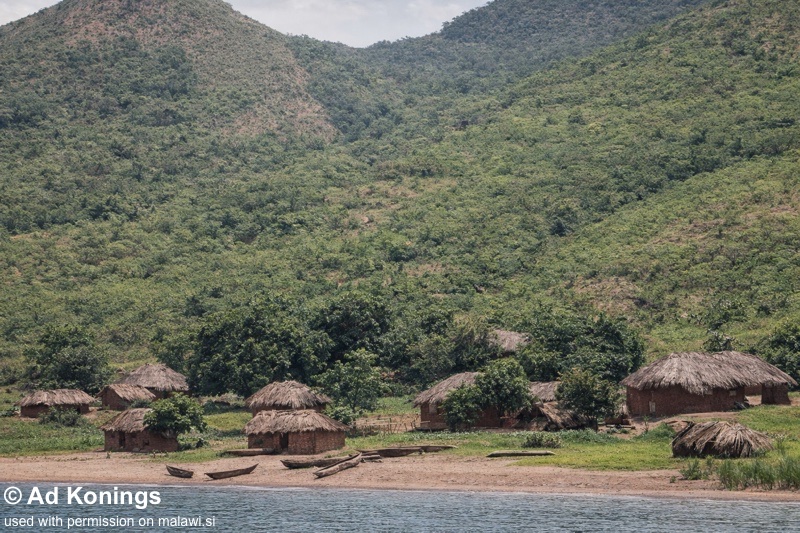 Ndonga 02